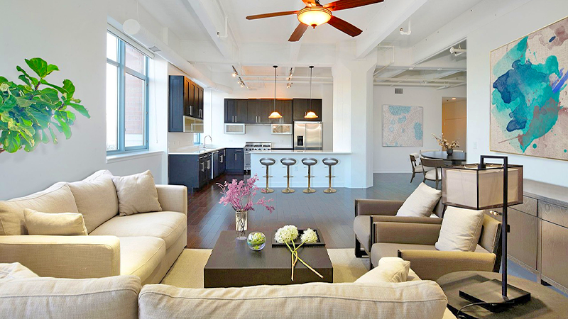 Interior Painting Service Image